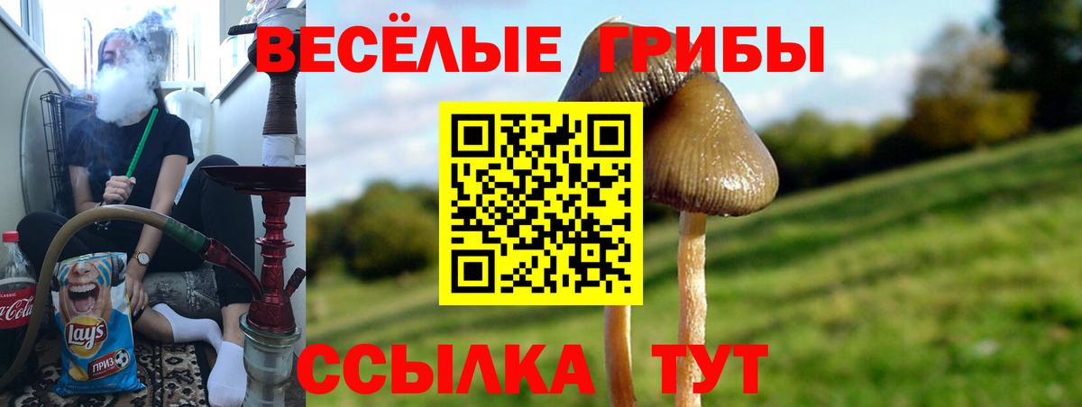 Галлюциногенные грибы ЛСД  Вход с VPN  Фролово 